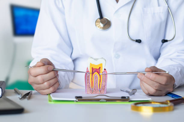 Best Emergency Dentist for Lost Fillings or Crowns in Curtice, OH